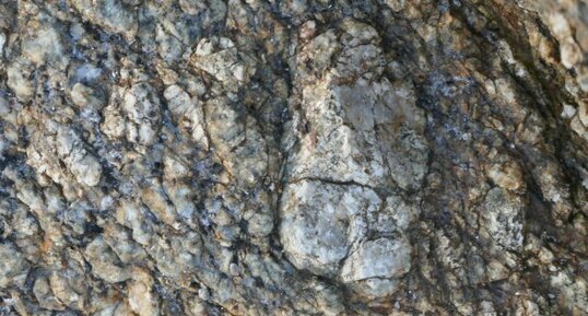 Orthogneiss de Port Manec'h