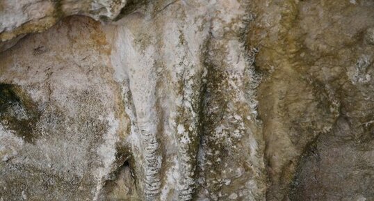 Stalactites dans caverne calcaire - Maurice