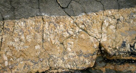 Détail de filon de pegmatite - Roscoff