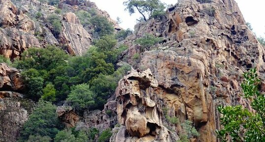 Tafonis dans les granites de Bonifatu.