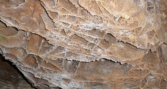 Concrétions de calcite en nid d'abeille, Wind Cave