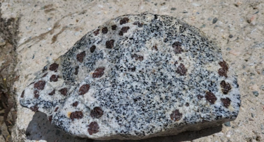 Corse - Bocognano - Granodiorite à Grenats