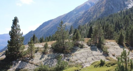 Poli glaciaire près du lac du Lanoux.