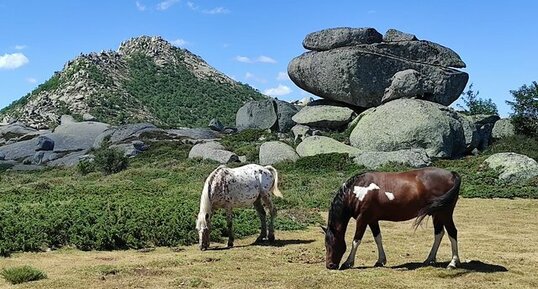 Corse - Zicavo - Plateau du Cuscionu - Chaos et Boules de Granite