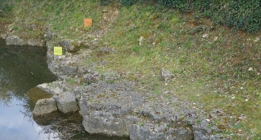 Calcaire lacustre de Beauce à la carrière des "Hauts de la plaine Saint Gilles"