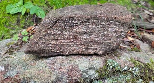 Corse - Ajaccio - Punta Alta - Gneiss