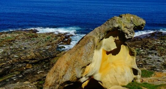 Taffoni dans les grès du flysch éocène basque