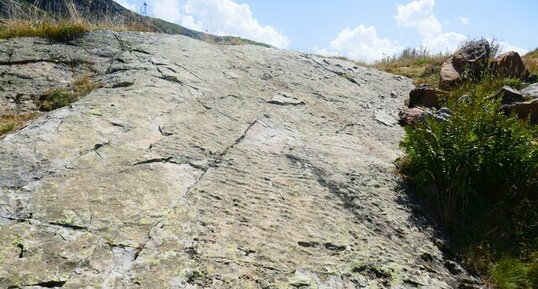 Ripple-marks et ichnofossiles entre les lacs Noir et Besson à l'Alpe d'Huez