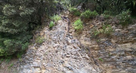 Corse - Zicavo - Micaschistes