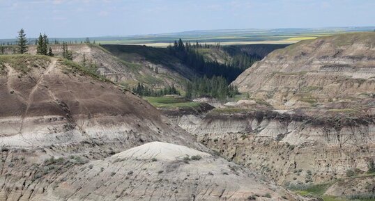 Horseshoe Canyon
