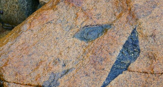 Enclaves de diorite dans une granodiorite à la Pointe du Chateau