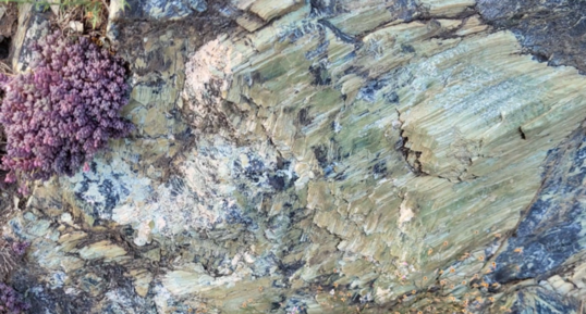 Corse - Lugo di Nazza - Serpentinites