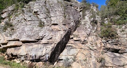 Granite perthitique à hastingsite fayalite
