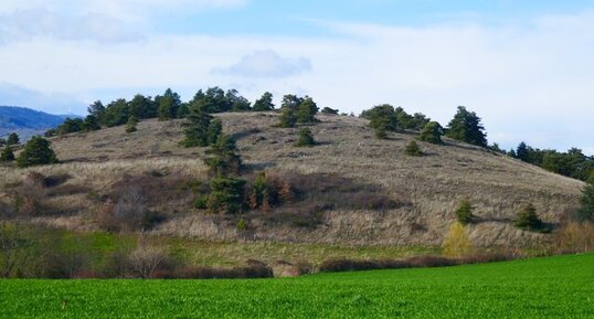 Suc de Clava, écaille de serpentinite affleurant.