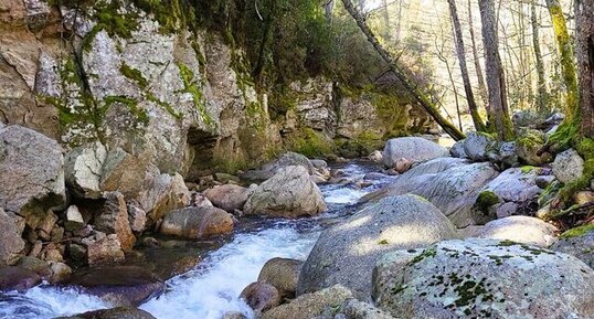 Corse - Quenza - Granodiorite