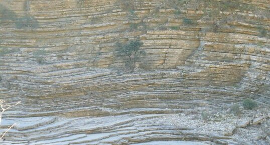 Calcaire sublithographique des gorges de l'Hérault.