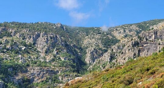 Corse - Venaco - Uboli - Conglomérat / Poudingue