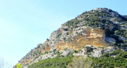 Molasse calcaire Miocène de la Nappe du Nebbio