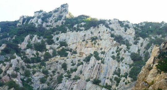 Anticlinal couché dans les gorges du Termenet.