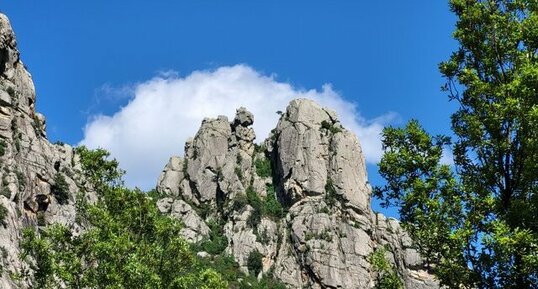 Corse - Venaco - Verghellu - Granite monzonitique leucocrate à grenats