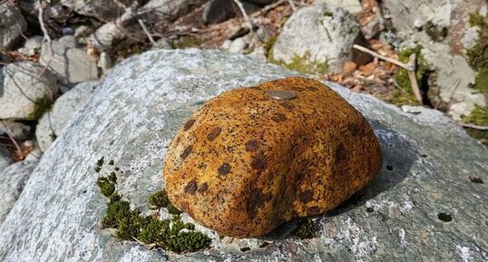 Corse - Bocognano - Sellola - Granodiorite à Grenats