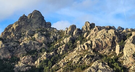 Granodiorites à amphiboles