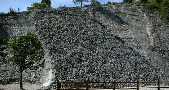 Dalle à ammonites de Digne-les-Bains