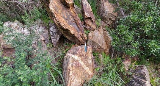 Corse - Ajaccio - Punta Alta - Gneiss