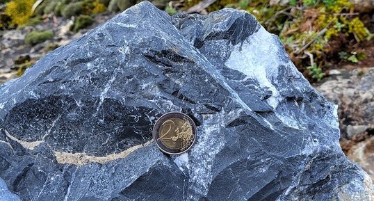 Marbre noir de Corte