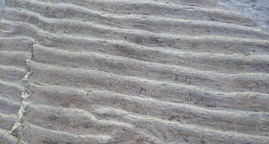 Rides de courants (Ripples marks) du dévonien d'Irlande