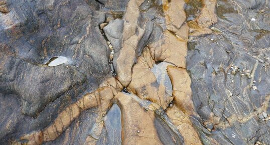Filon granitique dans migmatites du Golfe du Morbihan
