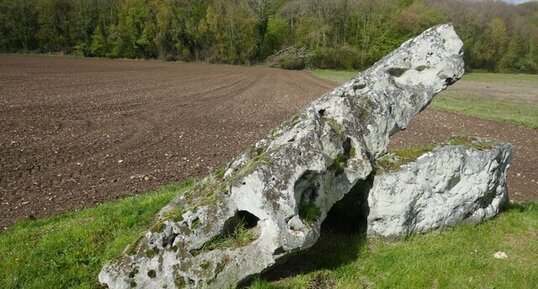 Dalle en grès du dolmen de la grenouille à Changé.