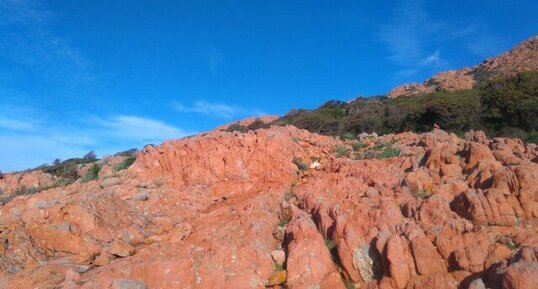 Corse - Piana - Capu Rossu - Granite Alcalin