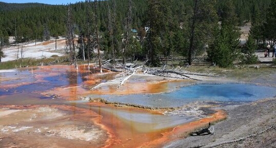 Sources hydrothermales de Firehole