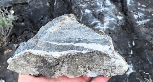 Marbre noir de Corte