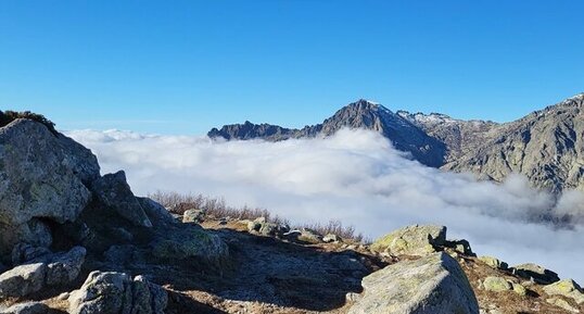 Corse - Vivario - Bocca Palmente - Granodiorite