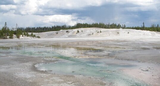 Bassin hydrothermal de Norris, Yellowstone N.P.