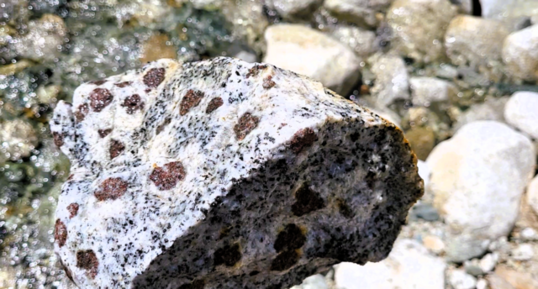 Monzogranodiorite à grenats