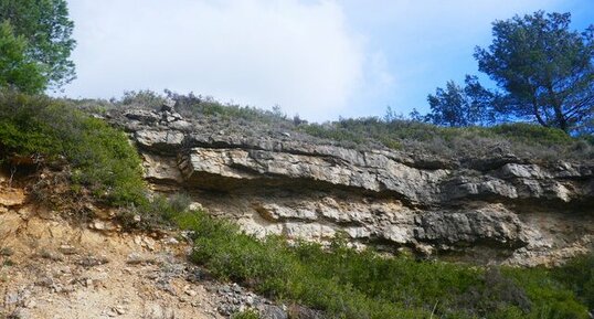 Calcaire à alvéolines Ilerdien