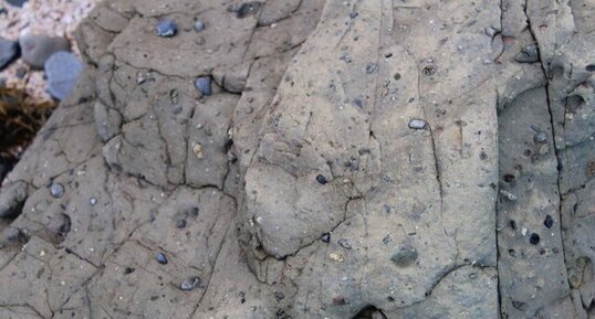 Conglomérat à éléments épars de la pointe du Lude