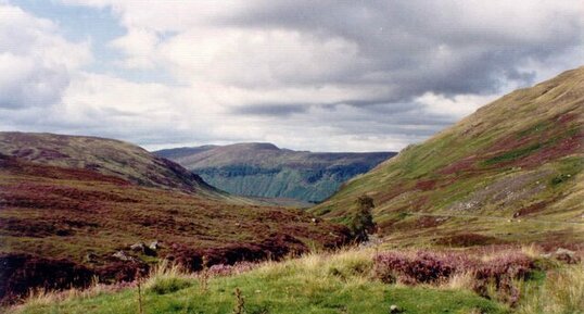 Lande de Ben Lawers (Ecosse)