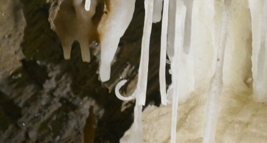 Excentrique de la grotte de la Devèze