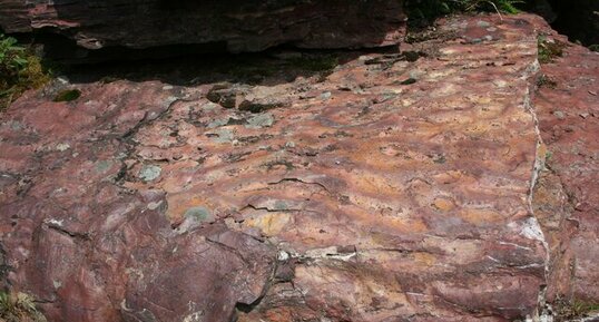 rides de houle dans des siltites, Glacier National Park