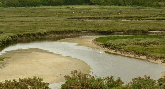 Le marais et la vasière de la "mer blanche"