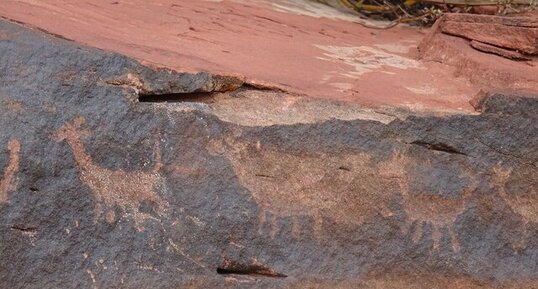 Pétroglyphe (art rupestre), Canyon de Talampaya, Argentine