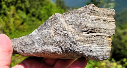 Corse - Tavera - Gneiss