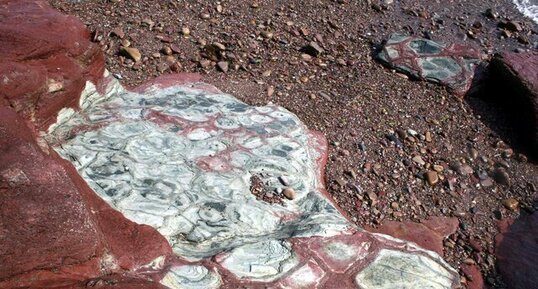 Polygones de dessication dans les argilites de Bréhec