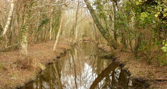 le polder de Mousterlin (Finistère)