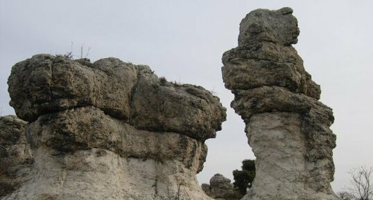 Les Mourres de Forcalquier : Bioconstructions alguaires lacustres