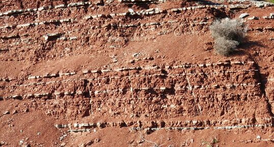 Pélites Rouges permiennes dites ruffes